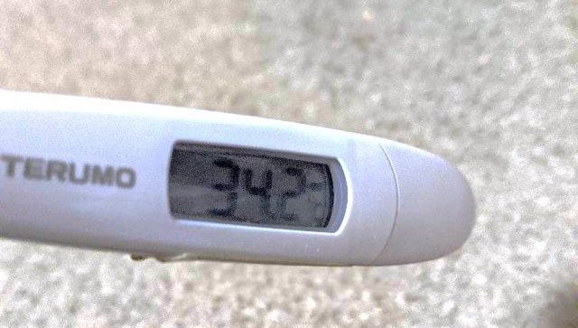 風邪ひいた【ほぼ週1雑記5】