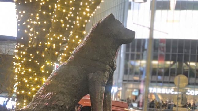 ダブルチーズバーガーの気分でない日【ほぼ週1雑記15】