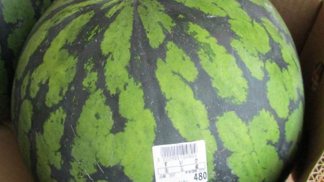 60～80年代フォークしか愛せない呪い【ほぼ週1雑記22】