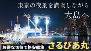 【東京→大島】往復6000円!「さるびあ丸」で行く格安夜行フェリーの旅【島トクきっぷ】 【東京→大島】往復6000円!「さるびあ丸」で行く格安夜行フェリーの旅【島トクきっぷ】