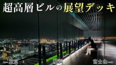 【川崎観光の新定番】市役所の無料展望台で昼も夜も絶景を楽しめる！